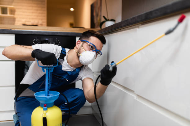 Best Best Pest Control Companies  in Fayetteville, NY