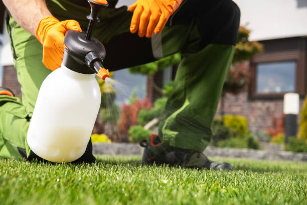 Reliable Fayetteville, NY Pest Control Solutions