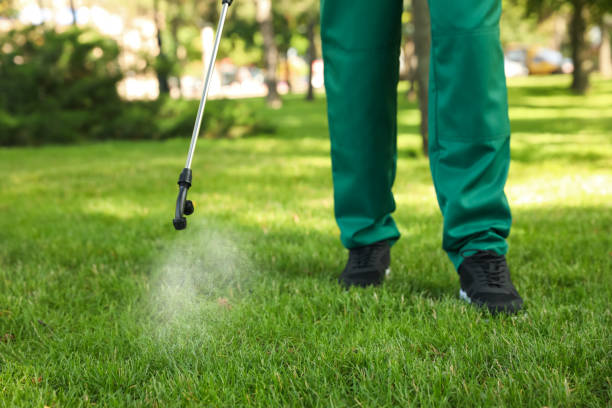 Best Affordable Pest Control Services  in Fayetteville, NY