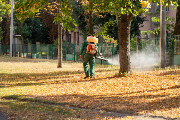 Pest Control for Restaurants in Fayetteville, NY