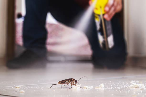 Best Residential Pest Control  in Fayetteville, NY