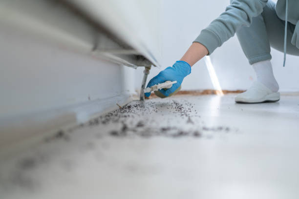 Best Mosquito Control Services  in Fayetteville, NY