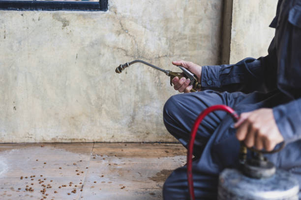 Best Wasp Removal Services  in Fayetteville, NY